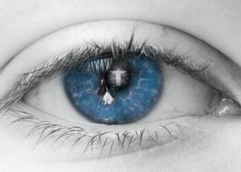 The Symphony of a Finite Life: An Answer to “If We Are Born to Die, Why Live?”