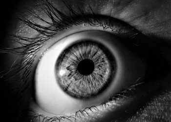 The Prisoner’s Dream: How William Penn’s Radical Vision Forged Pennsylvania