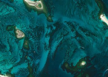 Il Milione: How Marco Polo’s “Million Lies” Redrew the Map of the World