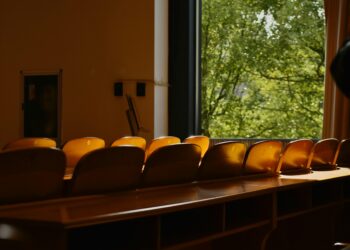 United States v. Harris: An Analysis of the Federal Case and Incarceration of a Reality Television Star