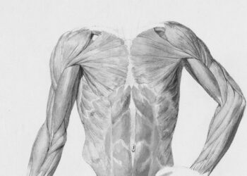 The Grey Zone Ethic: Why Meredith Grey’s Firings Weren’t Failures, But the Whole Point of Her Character