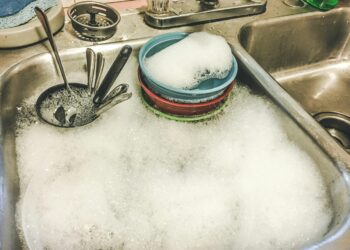 The Greasy Puddle Predicament: My Journey to Conquering a Clogged Dishwasher and How You Can, Too