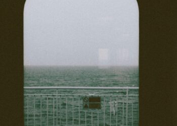 The Mallory Enigma: Why a Single Departure Changed the Heartland Ecosystem Forever