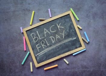 An Anatomy of Dissent: Conservative Opposition to the New Deal