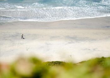 The Great Thinning: A Definitive Analysis of the Loss of Mars’s Atmosphere and its Planetary Consequences