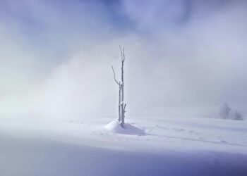 Why Is My AC Freezing Up? A Veteran Technician’s Definitive Guide to Diagnosing the Chill