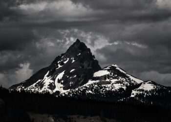 The Question from the Mountaintop: A Journey into Why Martin Luther King Jr. Died