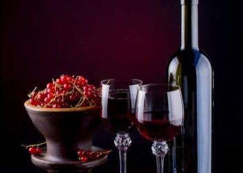 An Expert Report on the Gastrointestinal Effects of Alcohol Consumption: A Comprehensive Analysis of Alcohol-Induced Diarrhea