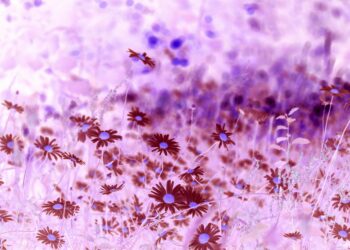 The Nocturnal Onslaught: A Medico-Scientific Analysis of Why Allergies Worsen at Night