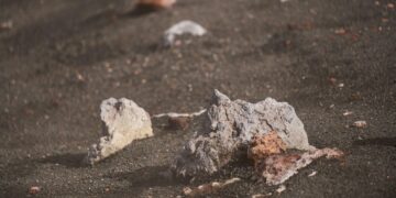 Beyond the Bag: A Systems-Thinking Guide to White Sand, Gravel, and the Secret Life of Your Landscape