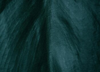 The Price of the Crown: Deconstructing Lagertha’s Choice to Kill Kalf