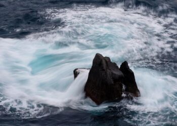 An End of an Era, A Change of Spirit: A Multi-Factor Analysis of Long Island Medium’s Departure from TLC