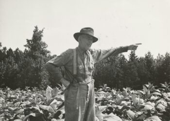The Caretaker’s Paradox: Why Paul Harvey’s Farmer is the Overlooked Keystone of the American Ecosystem