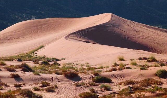 The Shot Heard ‘Round the Fandom: Deconstructing the Death of Kate Todd and the Remaking of NCIS